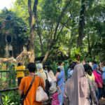 Wacana Tiket Masuk Ragunan Naik hingga Beroperasi Malam Hari, Apa Kata Pengunjung?