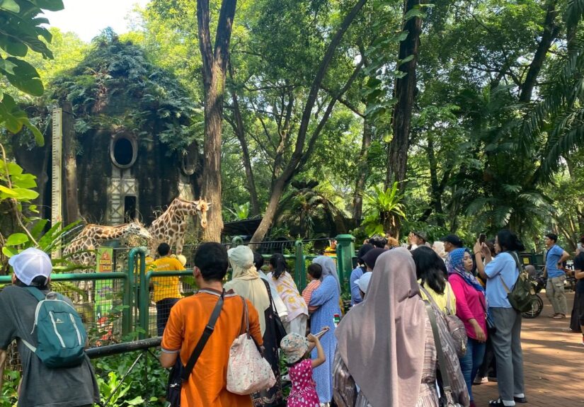 Wacana Tiket Masuk Ragunan Naik hingga Beroperasi Malam Hari, Apa Kata Pengunjung?