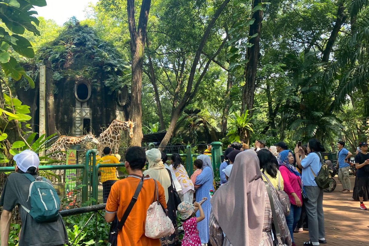 Wacana Tiket Masuk Ragunan Naik hingga Beroperasi Malam Hari, Apa Kata Pengunjung?